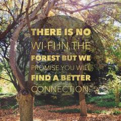 Get Rooted Radio with Erica Gifford Mills: Living it Up ~ Loving it Up ~ Letting it Go!: Sacred Connection: Living Within Your Own Wild Rhythms